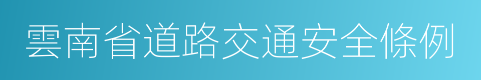 雲南省道路交通安全條例的同義詞