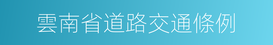 雲南省道路交通條例的同義詞