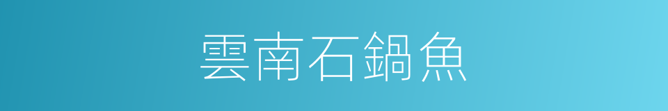 雲南石鍋魚的同義詞