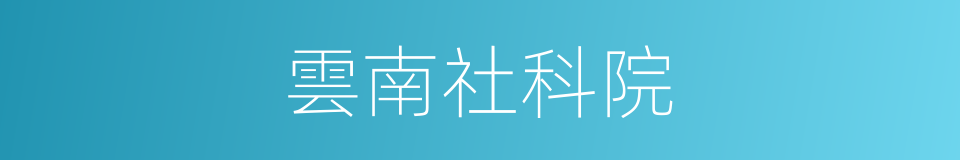 雲南社科院的同義詞