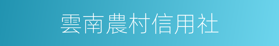 雲南農村信用社的同義詞