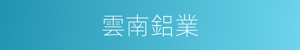 雲南鋁業的同義詞