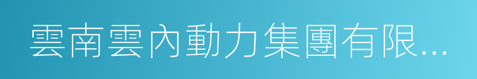 雲南雲內動力集團有限公司的同義詞