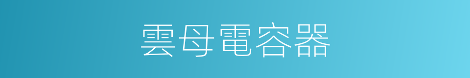雲母電容器的同義詞