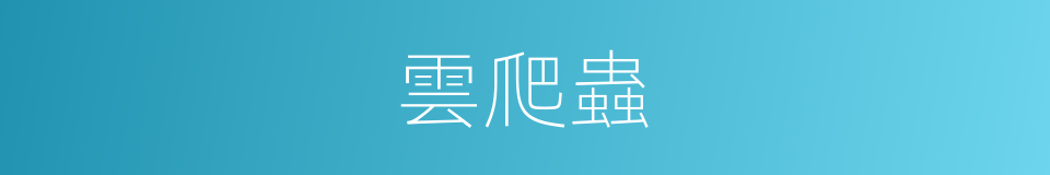 雲爬蟲的同義詞