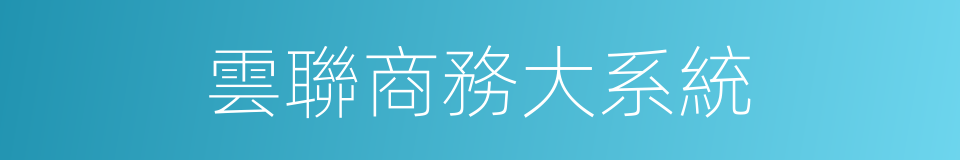 雲聯商務大系統的同義詞