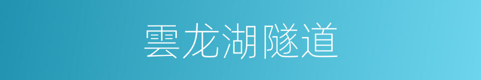 雲龙湖隧道的同義詞