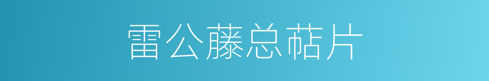 雷公藤总萜片的同义词