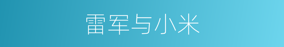 雷军与小米的同义词