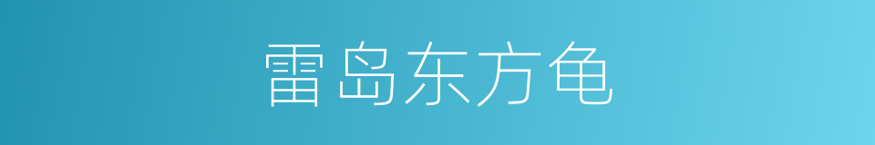 雷岛东方龟的同义词