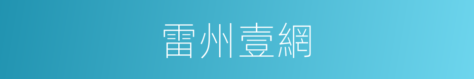 雷州壹網的同義詞