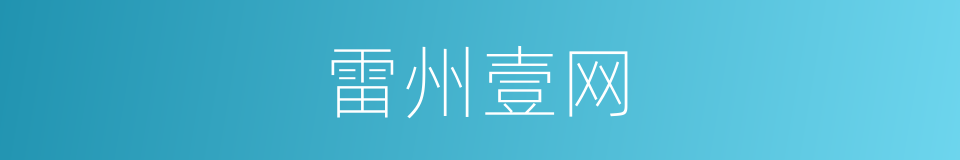 雷州壹网的同义词
