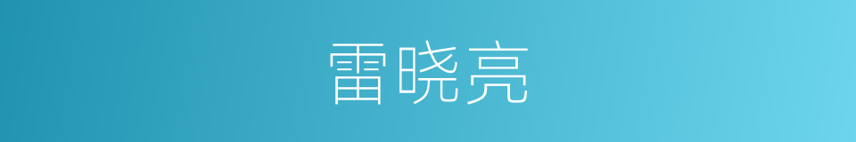 雷晓亮的同义词