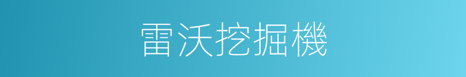 雷沃挖掘機的同義詞