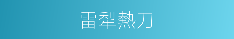 雷犁熱刀的同義詞