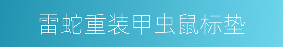 雷蛇重装甲虫鼠标垫的同义词