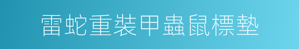 雷蛇重裝甲蟲鼠標墊的同義詞