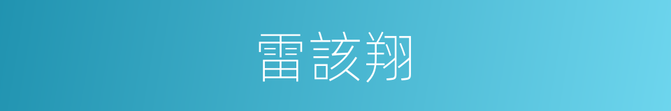 雷該翔的同義詞