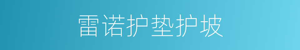 雷诺护垫护坡的同义词
