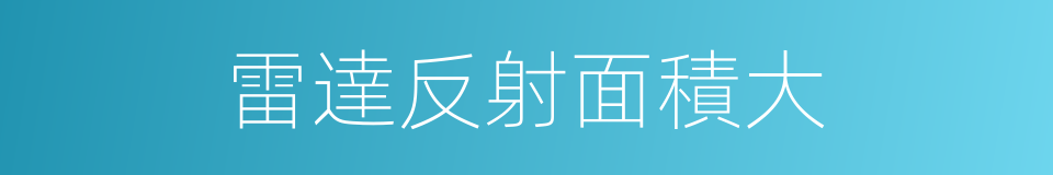 雷達反射面積大的同義詞