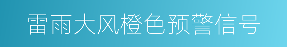 雷雨大风橙色预警信号的同义词