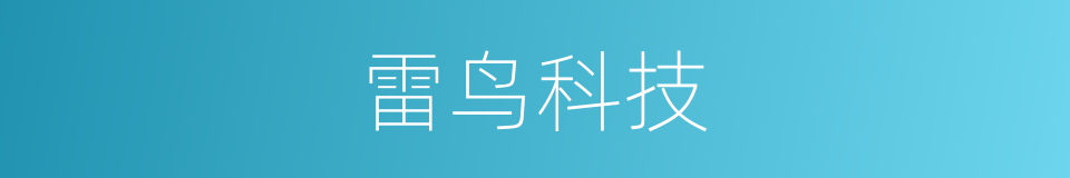 雷鸟科技的同义词