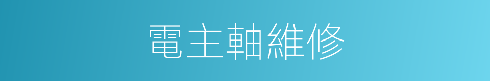 電主軸維修的同義詞