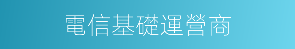 電信基礎運營商的同義詞