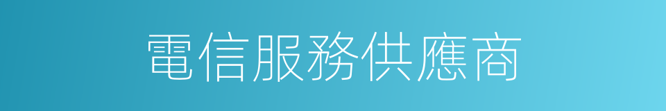 電信服務供應商的同義詞