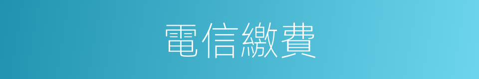 電信繳費的同義詞