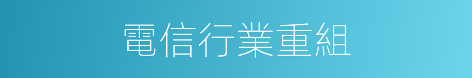 電信行業重組的同義詞