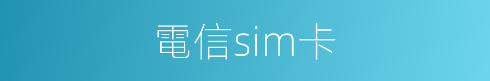 電信sim卡的同義詞