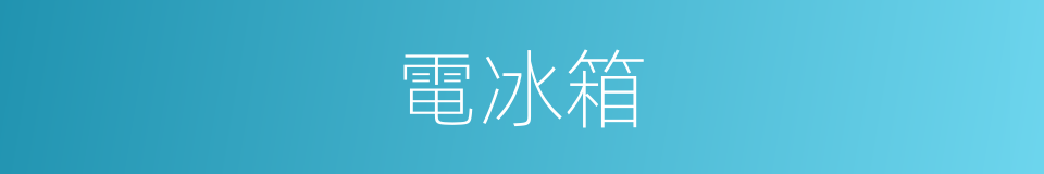 電冰箱的意思