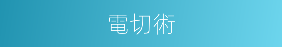 電切術的同義詞