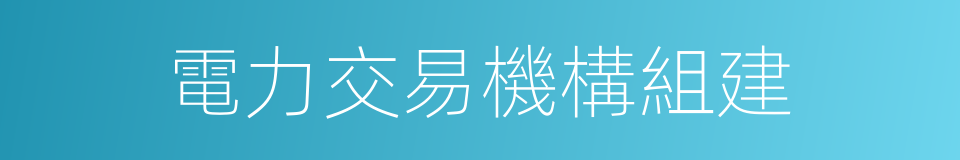 電力交易機構組建的同義詞