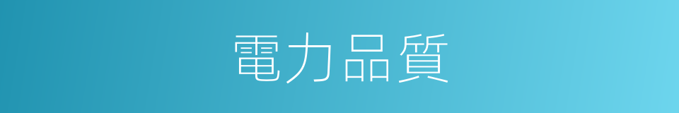 電力品質的同義詞