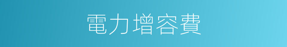 電力增容費的同義詞
