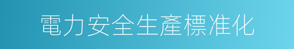 電力安全生產標准化的同義詞