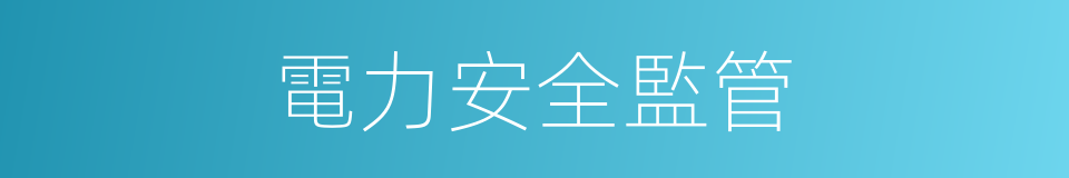 電力安全監管的同義詞