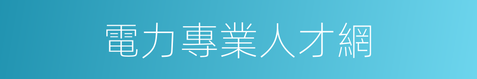 電力專業人才網的同義詞