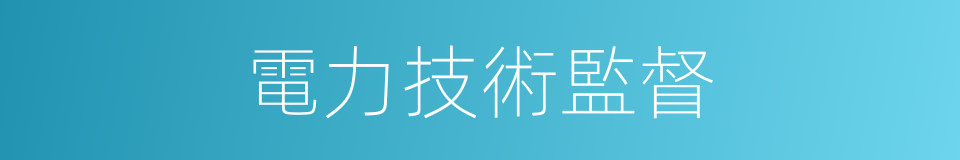 電力技術監督的同義詞