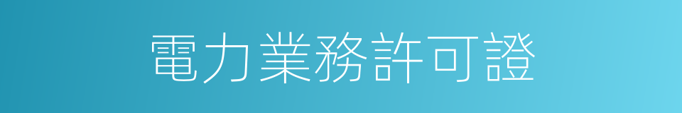 電力業務許可證的同義詞