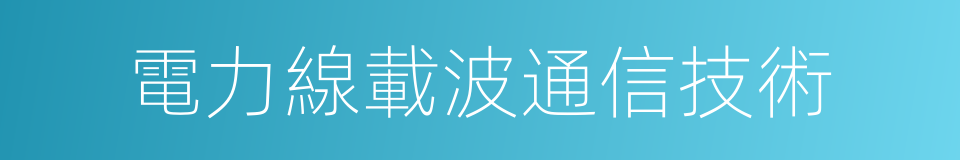 電力線載波通信技術的同義詞