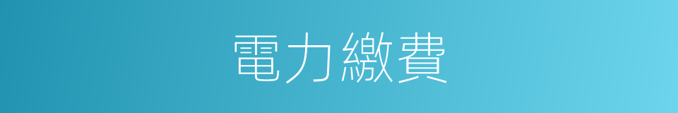 電力繳費的同義詞