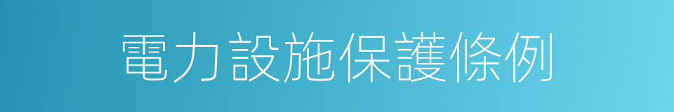 電力設施保護條例的同義詞