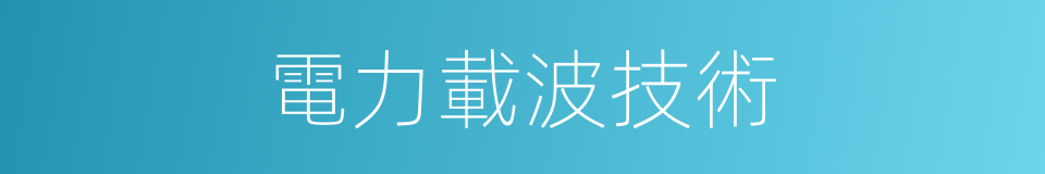 電力載波技術的同義詞
