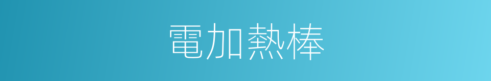 電加熱棒的同義詞