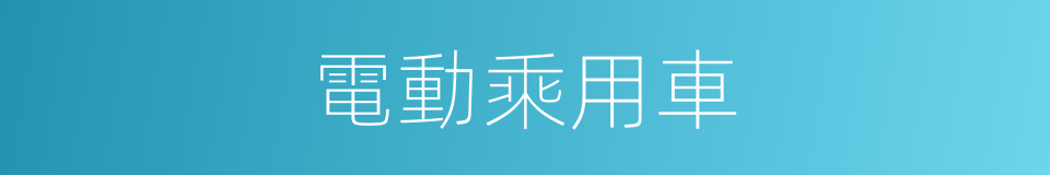 電動乘用車的同義詞