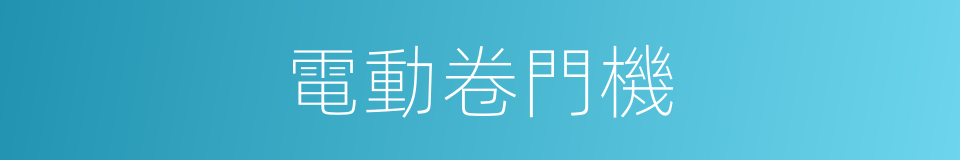 電動卷門機的同義詞