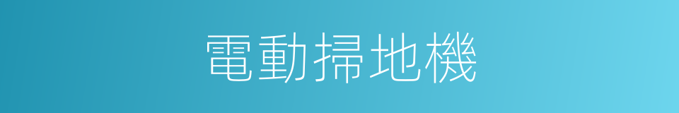 電動掃地機的同義詞